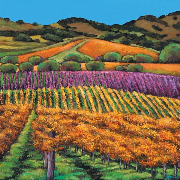 California: Napa by Johnathan Harris