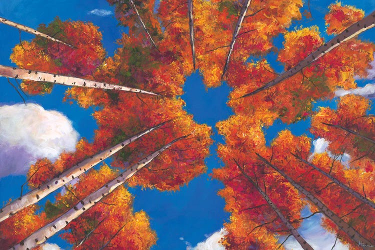 Reach For The Clouds by Johnathan Harris wall art
