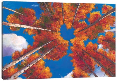 Reach For The Clouds Canvas Art Print - Aspen Tree Art