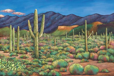 Sonoran Sentinals by Johnathan Harris framed wall art
