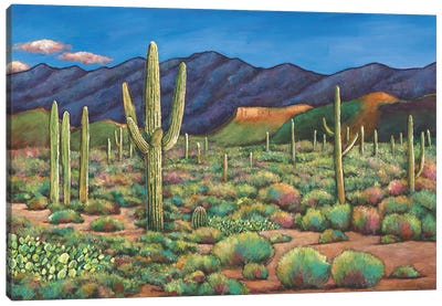 Sonoran Sentinals Canvas Art Print - Johnathan Harris