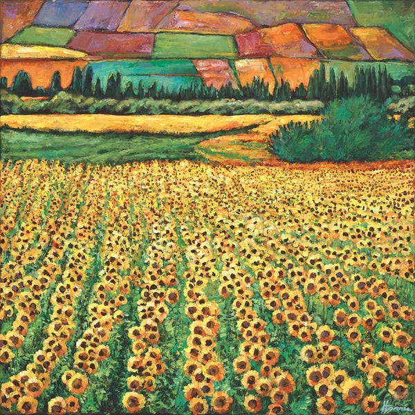 Fine Art Print: Sunburst by Johnathan Harris