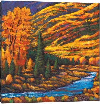 The River Runs Canvas Art Print - Johnathan Harris
