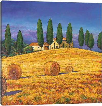 Tuscan Gold Canvas Art Print - Tuscany Art