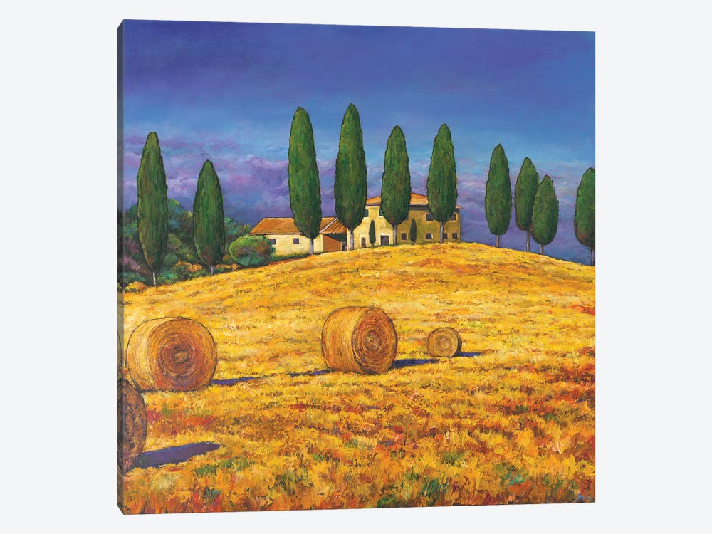 Tuscan Gold by Johnathan Harris 1-piece Canvas Print