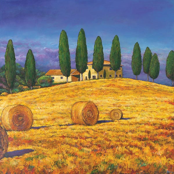 Tuscany: Tuscan Gold by Johnathan Harris