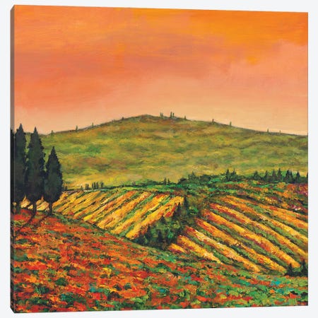 Tuscan Morning Canvas Print #JHR86} by Johnathan Harris Canvas Wall Art