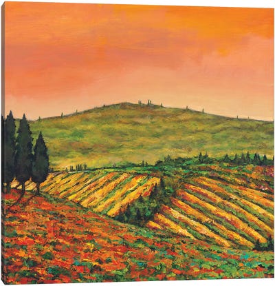 Tuscan Morning Canvas Art Print - Johnathan Harris