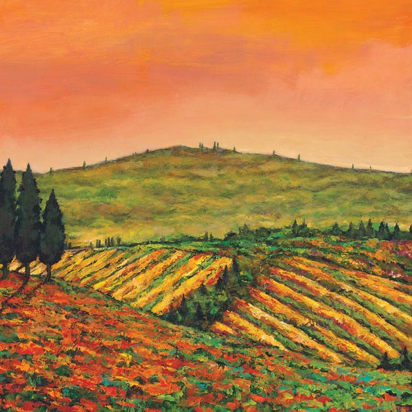 Tuscany: Tuscan Morning by Johnathan Harris