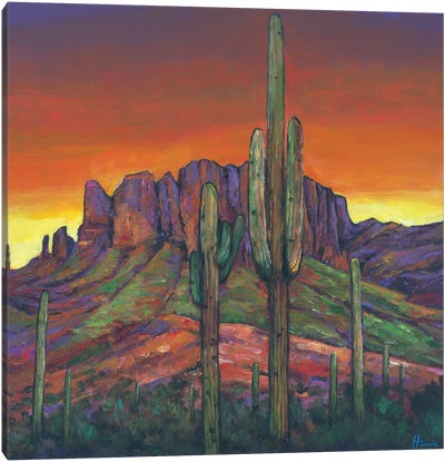 Very Superstitious Canvas Art Print - Cactus Art