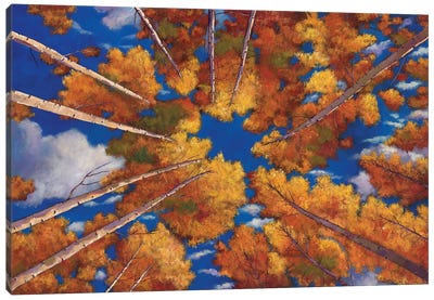 Aspen Vortex Canvas Art Print - Aspen Tree Art