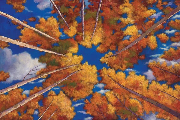 Aspen Trees: Aspen Vortex by Johnathan Harris