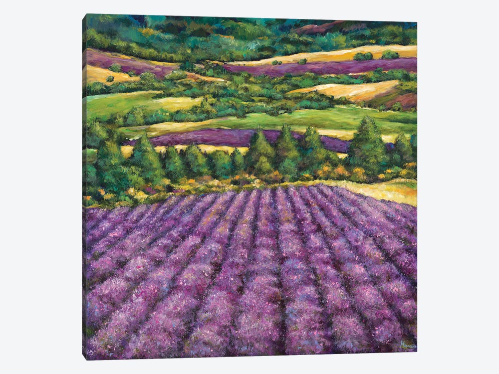Tuscan Lavender by Johnathan Harris 1-piece Canvas Art