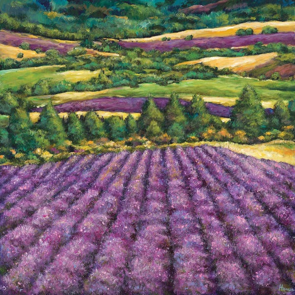 Johnathan Harris: Tuscan Lavender by Johnathan Harris