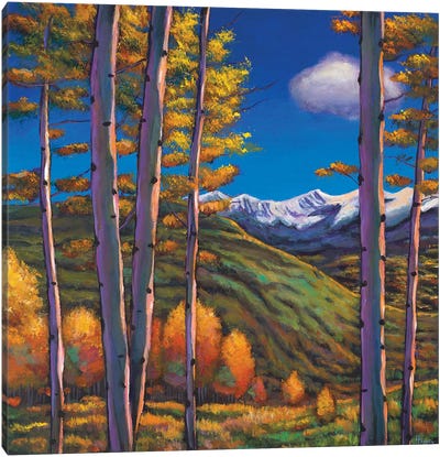 Serenity Canvas Art Print - Aspen Tree Art