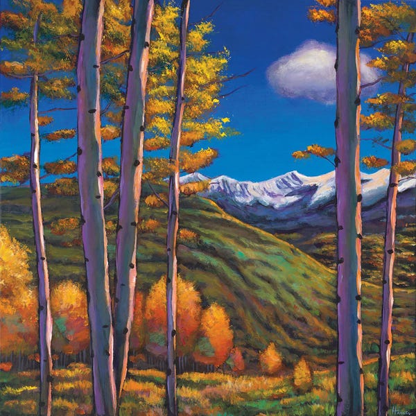 Aspen Trees: Serenity by Johnathan Harris