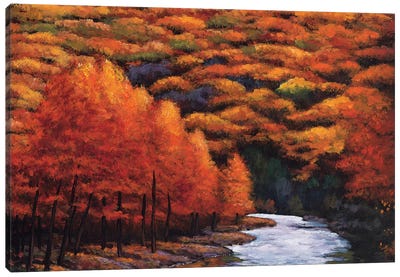 Autum Stream Canvas Art Print - Maple Tree Art