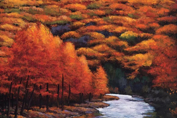 Maple Trees: Autum Stream by Johnathan Harris