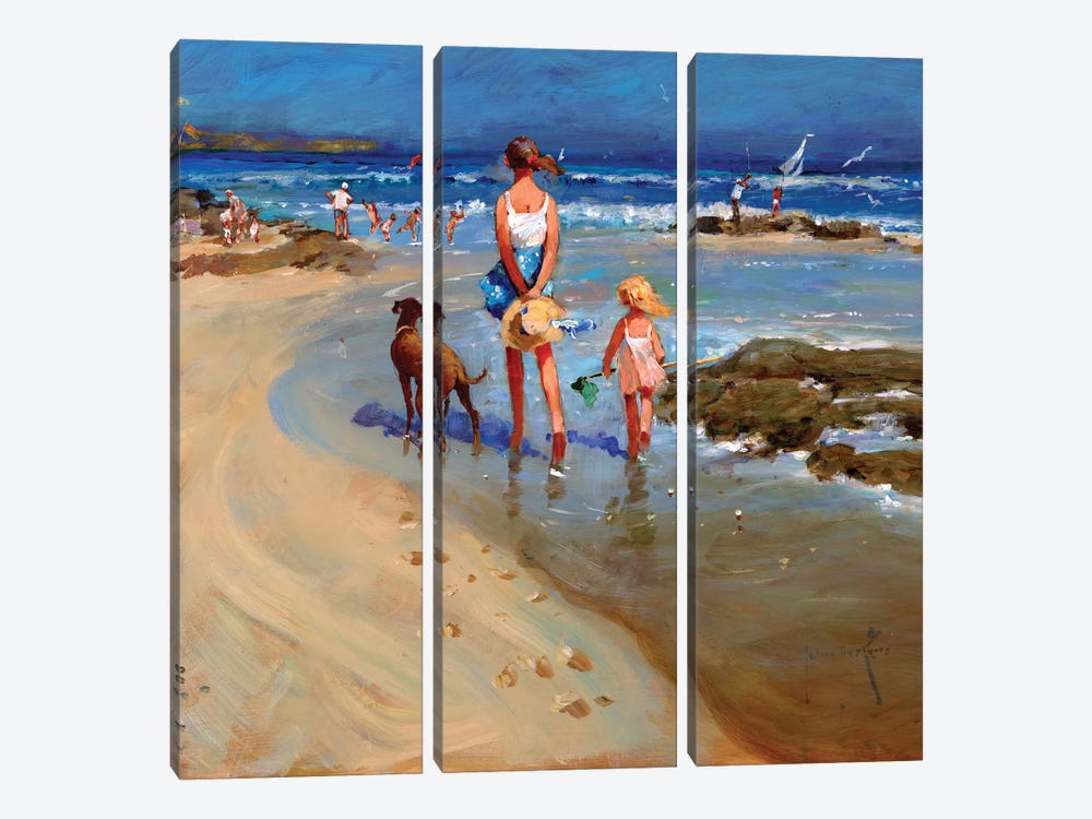 Edge Of The Tide by John Haskins 3-piece Canvas Art Print