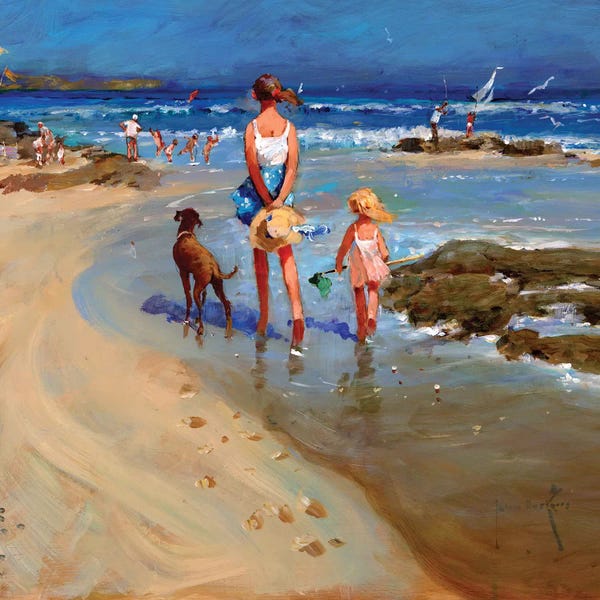 The Joy Of Life: Edge Of The Tide by John Haskins