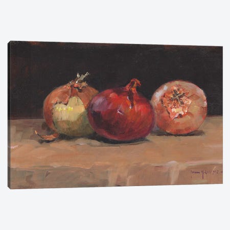 Onions Canvas Print #JHS43} by John Haskins Canvas Artwork