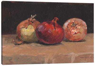Onions Canvas Art Print - John Haskins