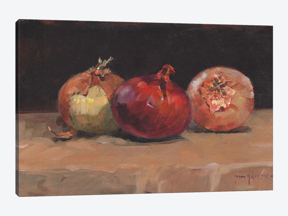 Onions by John Haskins 1-piece Canvas Wall Art
