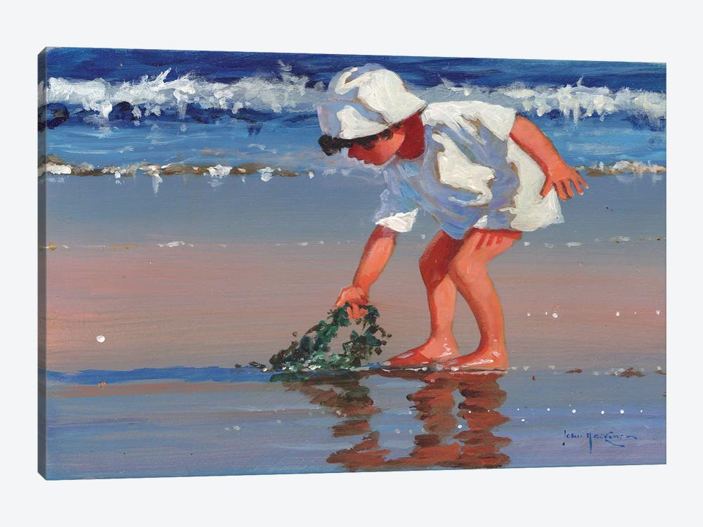 Serious About Seaweed by John Haskins 1-piece Canvas Print