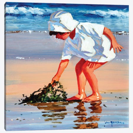 Serious About Seaweed Square Canvas Print #JHS49} by John Haskins Canvas Art