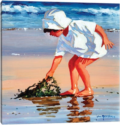 Serious About Seaweed Square Canvas Art Print - John Haskins