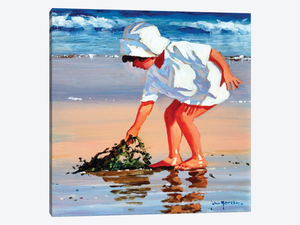 Serious About Seaweed Square by John Haskins 1-piece Canvas Wall Art