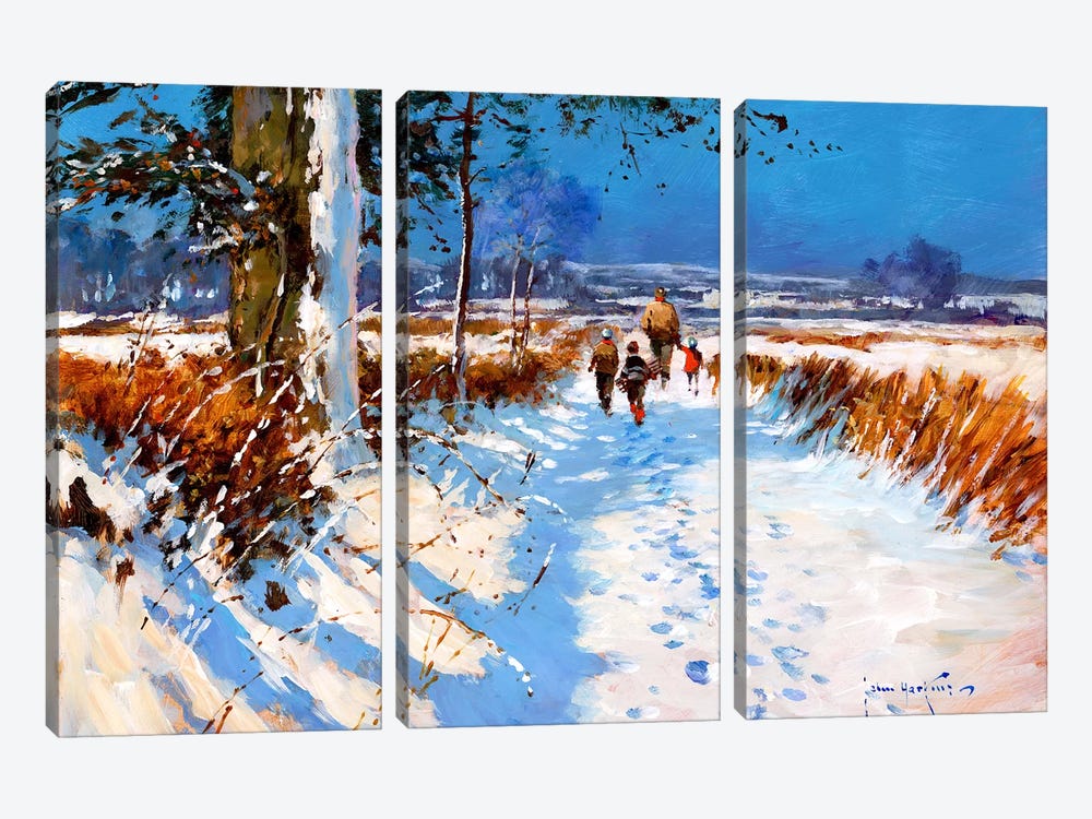 Snow On The Bridleway by John Haskins 3-piece Art Print