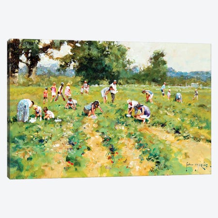 Strawberry Pickers Canvas Print #JHS56} by John Haskins Canvas Artwork