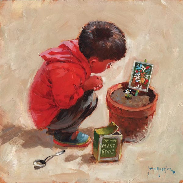 John Haskins: The Patient Gardener by John Haskins