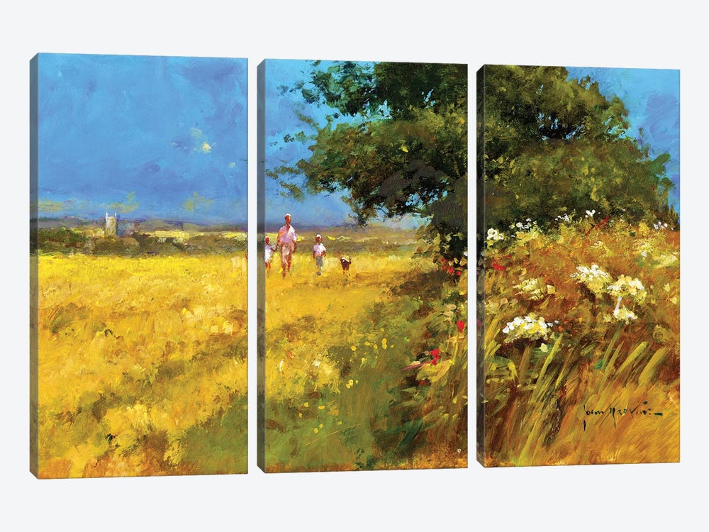 A Walk In The Field by John Haskins 3-piece Canvas Artwork