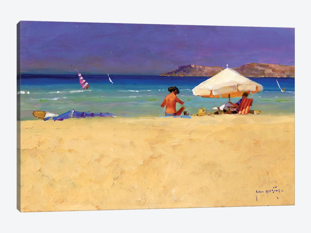 Eighty Degrees In The Shade by John Haskins 1-piece Art Print