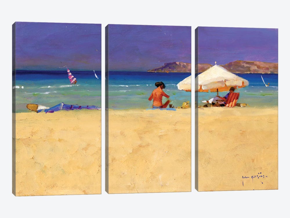 Eighty Degrees In The Shade by John Haskins 3-piece Art Print