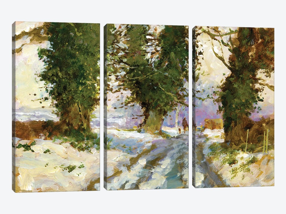 Snow In The Lane (Cardington) by John Haskins 3-piece Canvas Wall Art