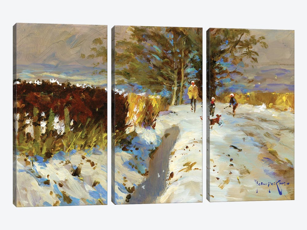 Snow On The Back Lane by John Haskins 3-piece Canvas Print