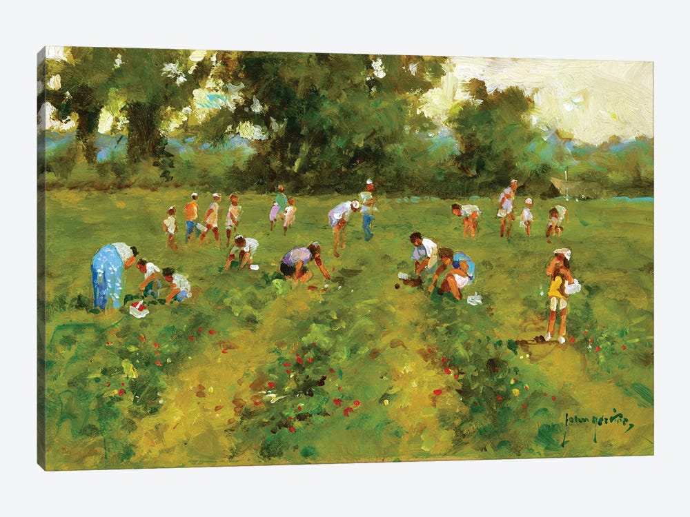 Summer Strawberry Picking by John Haskins 1-piece Canvas Art
