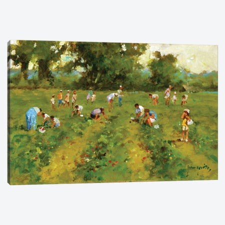 Summer Strawberry Picking Canvas Print #JHS83} by John Haskins Canvas Art