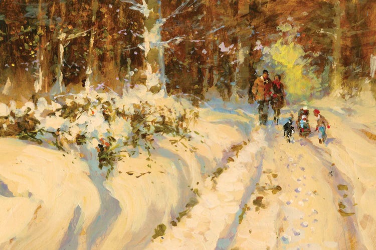 Sunshine And Snow A Walk In The Woods by John Haskins wall art