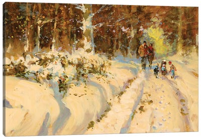 Sunshine And Snow A Walk In The Woods Canvas Art Print - John Haskins