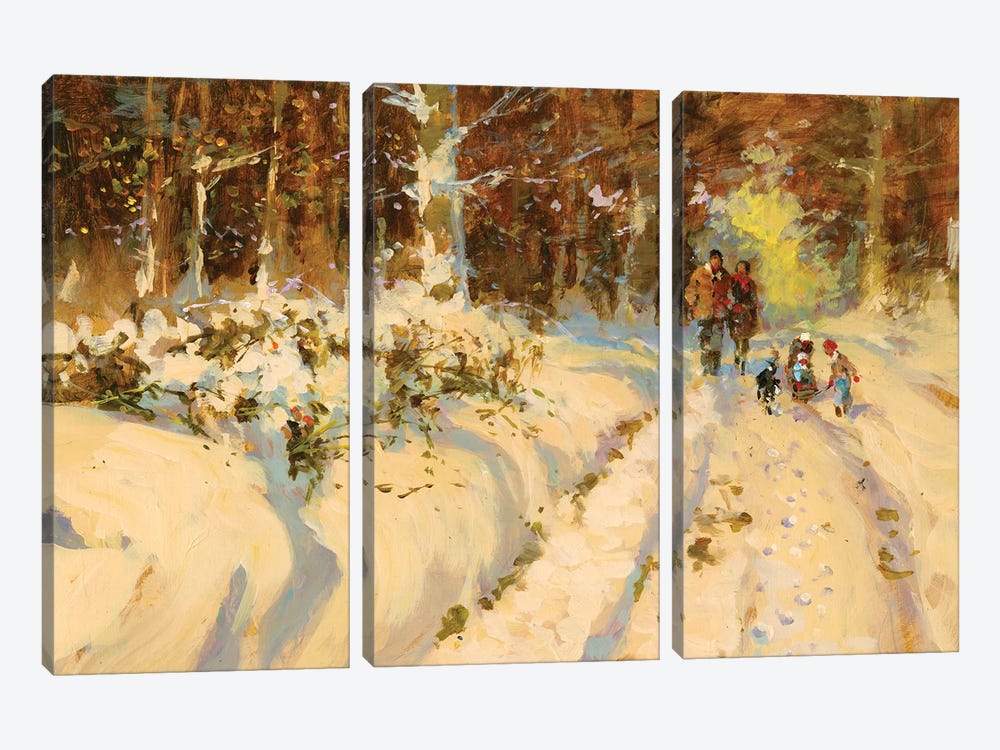 Sunshine And Snow A Walk In The Woods by John Haskins 3-piece Art Print