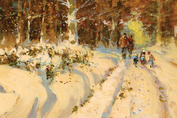 John Haskins: Sunshine And Snow A Walk In The Woods by John Haskins