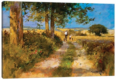 Afternoon Stroll Canvas Art Print - John Haskins
