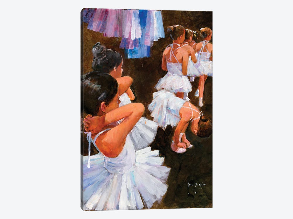 Cygnets On Stage Please by John Haskins 1-piece Canvas Wall Art