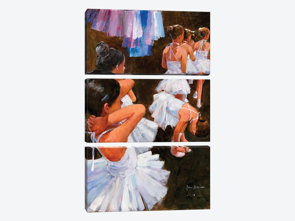 Cygnets On Stage Please by John Haskins 3-piece Canvas Art