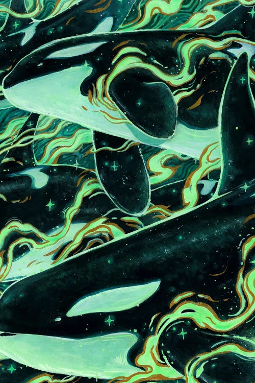 Aurora Orcas by Jonna Hyttinen wall art