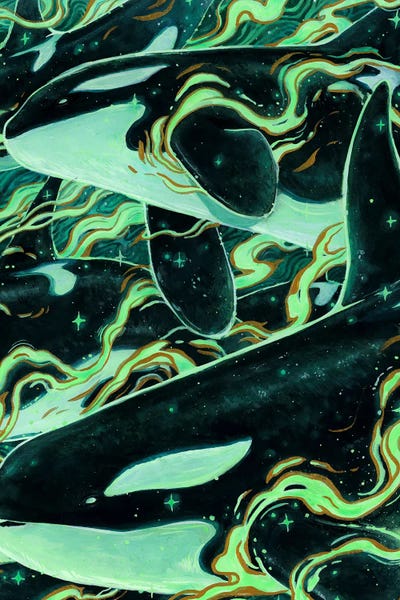 Orcas: Aurora Orcas by Jonna Hyttinen
